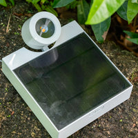 Ground Flood Light