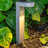 Walkway Light